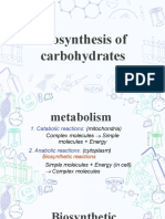 Biosynthesis of Carbohydrates