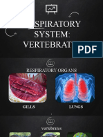 Respiratory - Vertebrates