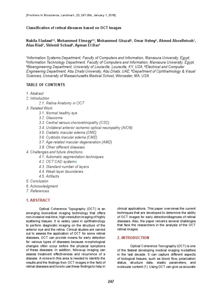 OCT Imaging for Retinal Disease Diagnosis | PDF | Retina | Medical Imaging