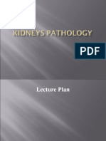 15-Kidney Pathology