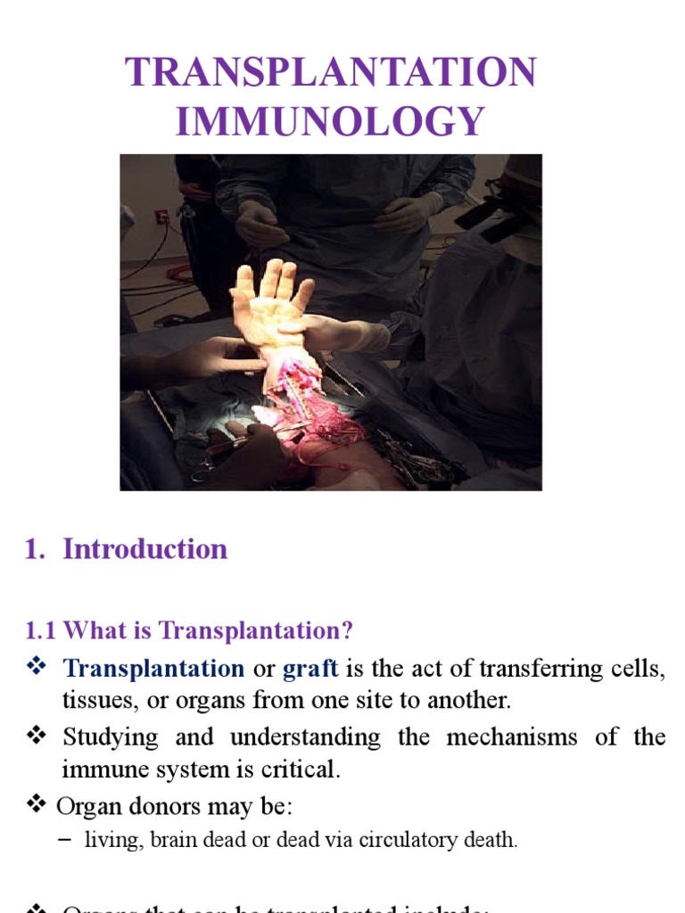 Transplantationpptfinal PDF Transplant Rejection Major