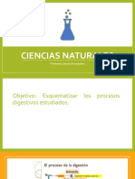 Ciencias Naturales 8 Básico, Clase Viernes 16 Abril