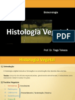 histologia e organologia vegetal- aula uergs