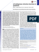 Discovery of Unfixed Endogenous Retrovirus Insertions in Diverse Human Populations