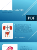 Ausscheidungsystem