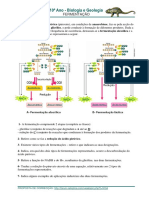 10 21 Fermentacao