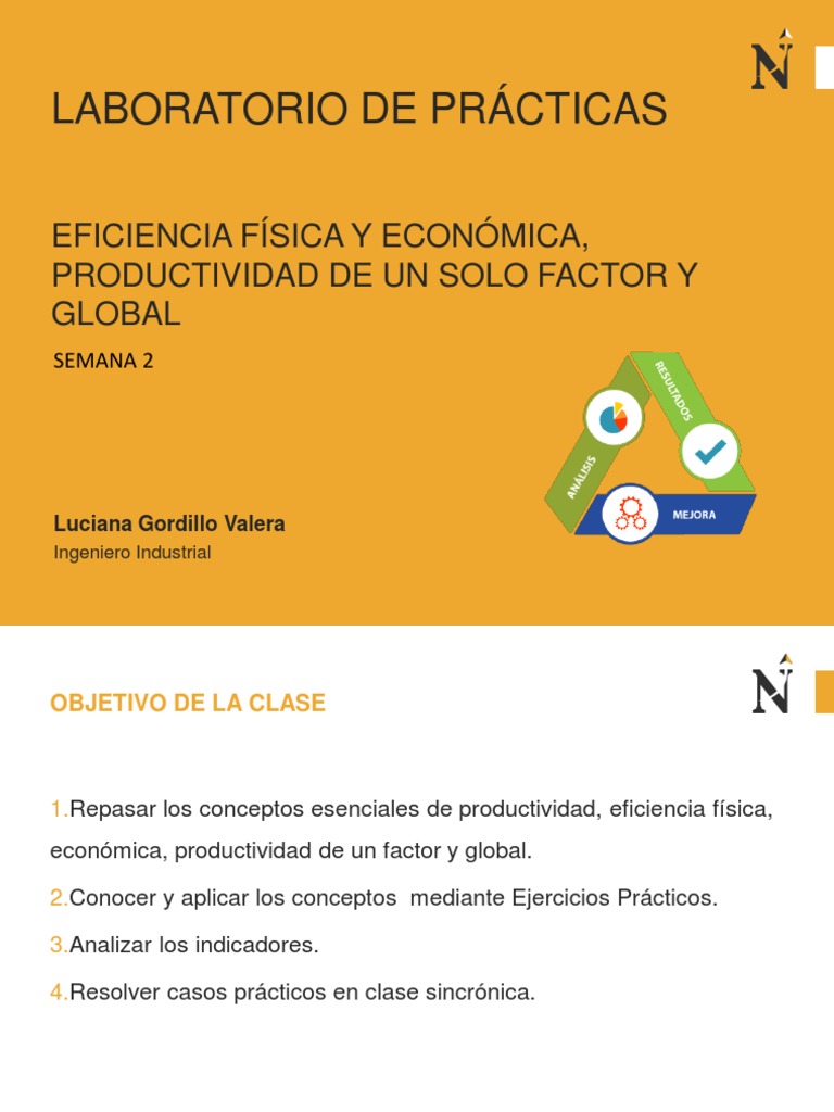 Eficiencia y Productividad en Prácticas | PDF | Empresas | Economias