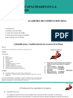 Teoria de Los Recursos PDF