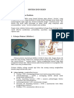 OPTIMALKAN SISTEM ENDOKRIN