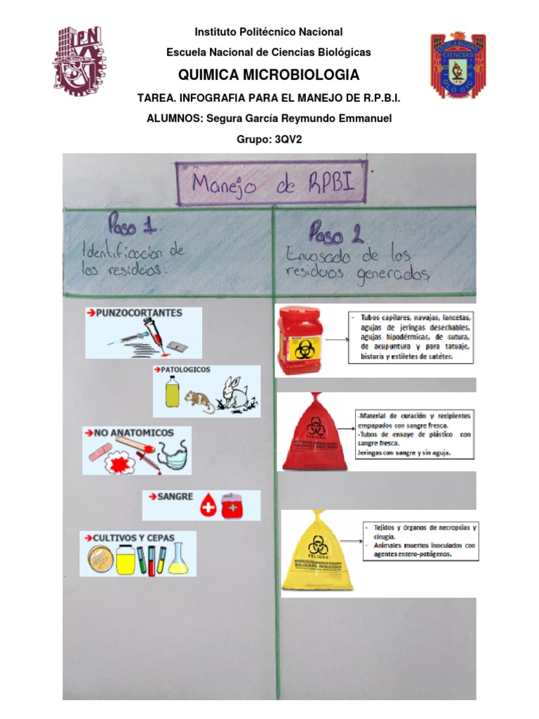 Rpbi Infografia | PDF