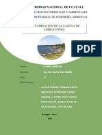Contaminación de La Laguna de Yarinacocha_2021 (1)