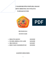 Tugas Prak Farmakognosi Makroskopik Rhizoma Folium - Kel Iv - Reguler Ii 18.G-2