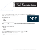 Female Reproductive System: Quiz Answer Key