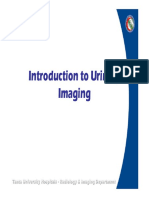 8. Introduction to Urinary Imaging