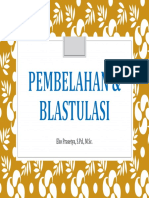 Pertemuan 5 6 Perkembangan Hewan Pembelahan Dan Blastulasi