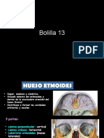 Anatomía del hueso etmoides