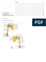 Prova Prática de Anatomia - Membro Superior 