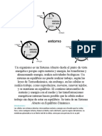 La Celula Como Un Sistema Abierto Desde El Punto de Vista Energético Porque Capta Materia y Energía