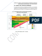 Evaluacion de Cuencas Hidrocarburiferas (Part V)