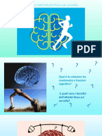 I Benefici Dell'Attività Fisica Sul Cervello