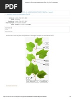 Questionário - Terceira Atividade Avaliativa (Peso 4,0) - Revisão Da Tentativa