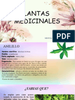 3 Plantas Medicinales