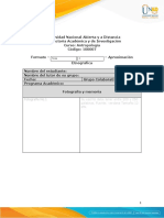 Formato - Tarea 4 - Aproximación Etnográfica