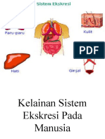 Persentasi Biologi Ginjal (New)