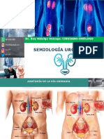 Semiologia Urogenital 