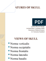 Features of Skull