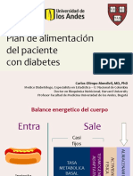Plan de Alimentacion en Diabetes Curso Soporte Metabolico