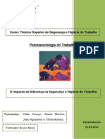 Psicossociologia Do Trabalho-Catia Gisela Joao Tania