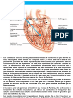 S2CHP2Physiologie Cardio-Vasculaire 41-80