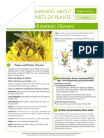Grades 2 and Up Pollination