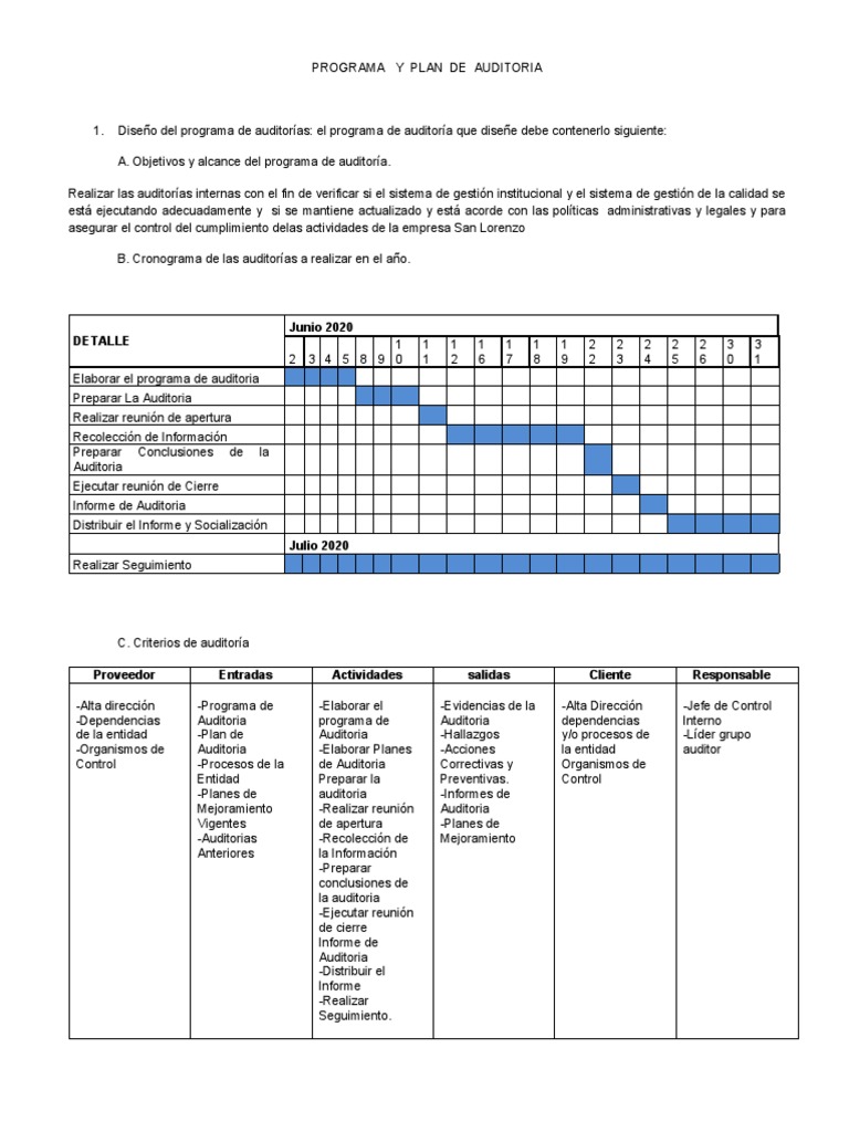 Programa y Plan de Auditoría 2020 | PDF | Auditoría | Contralor