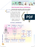 Sistema locomotor