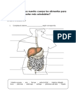 FICHA DE TRABAJO PROCESO DE DIGESTIÓN