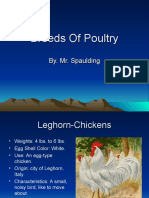 Breeds of Poultry JR