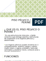 Piso Pélvico / Perinè: Klogo. Ricardo Valadez Rangel Universidad La Concordia Morfofisiologia Del Aparato Locomotor II