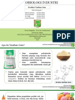 Group B - Xanthan Gum-1