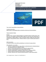 PBL02 - Tubarão - Campo Elétrico e Potencial Angelo_Souza_Gabriel_Rodrigo_Gustavo_Moreira