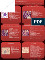 Winda Muliawati - 20119095 - Tlm2B - Poster Hematologi