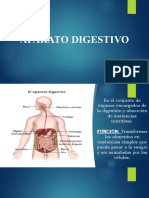 Aparato Digestivo