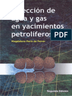 Inyeccion de Agua y Gas en Yacimientos