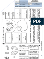 2 Ciencias Naturales Sistema Respiratorio 14 Abril 2021 Guia 005