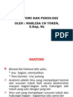 Anatomi Fisiologi