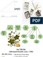 NHÓM 2 LỚP DK8B TVD - HỌ TIẾT DÊ 2 1