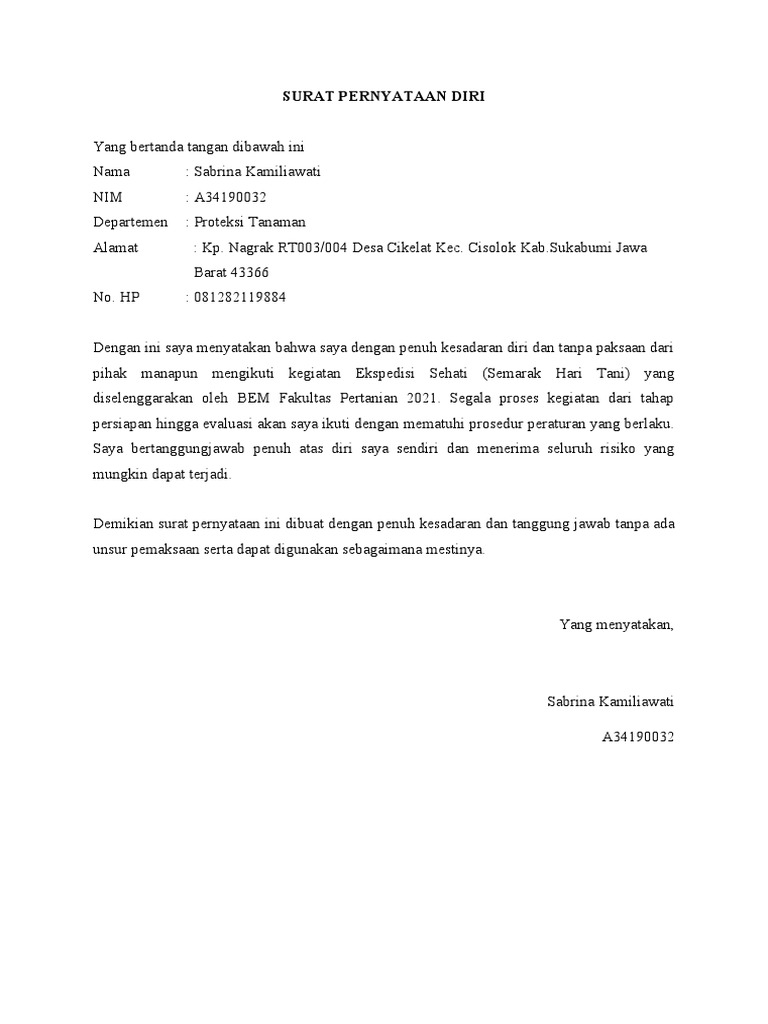 Format Surat Pernyataan Diri | PDF