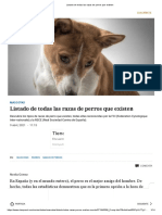 Listado de Todas Las Razas de Perros Que Existen