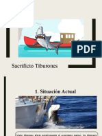 Sacrificio Tiburones